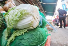 국산이라더니… 김치·김장 재료 원산지 표시 위반 180곳 적발