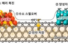 KAIST, 성능 7배 높인 친환경 암모니아 촉매 개발
