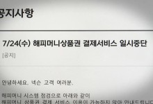 '티메프 사태' 체인 리액션…'상테크'가 '페이대란'으로