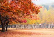 비 내리고 기온 뚝… 서울 아침 기온 '15도'[내일 날씨]
