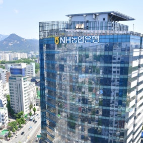 강태영 농협은행장 "금융사고 송구"… 캄보디아 범죄 의혹은 반박