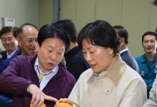 참외·수박 전년 수준 생산 전망…기상여건 회복