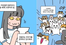 "가족 찾는다옹"…'냐한 남자' 올소, 세계 고양이의 날 웹툰 공개