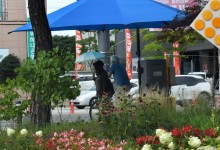 환경교육도시에 충북·충남 등 지자체 6곳 선정…탄소중립 기여