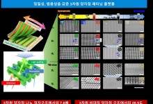 KAIST·동국대 연구팀, 3차원 퀀텀닷 구조 제작 기술 개발
