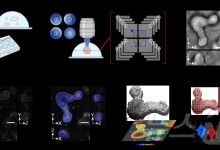 KAIST, 홀로토모그래피로 살아있는 유사 장기 실시간 관찰 성공