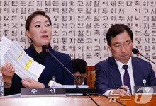강혜경 "명태균이 대선에 힘 쏟아서 김 여사가 김영선 공천 줬다"