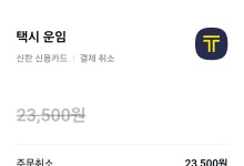 "국회 앞 하차 2분 뒤 택시기사가 2만3500원 결제 취소" 집회 시민 눈물