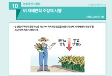 "쌀 과잉생산 막는다"…내년 벼 재배면적 8만ha 감축