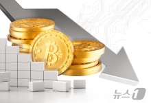 연초 5800만→연말 1억3000만원…파죽지세의 비트코인[코인브리핑]