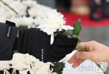 네이버·카카오, 제주항공 참사 희생자 계정정보 공개불가
