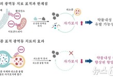"항암제 내성 있는 암세포 빛 쪼여 제거" UNIST, 광 반응 화합물 개발