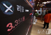 "6배 뛰었다"…작년 설 이후 가장 많이 오른 코인 1·2위는 리플·도지
