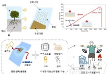 KAIST, 식물 뿌리 닮은 생체 모사로 '신축성 전자기기' 한계 극복