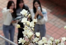 낮 최고 15도 완연한 '봄 날씨'…남부·제주는 비소식[오늘날씨]