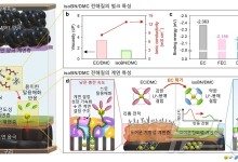 KAIST 연구팀, 배터리 초고속 충전 '전해질' 신소재 개발