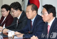 권영세 "이젠 헌재 결단할 때…민주당 뜻대로 안 되니 지연"