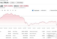 NYT "머스크 마약류 복용 심각" 테슬라 3.34% 급락
