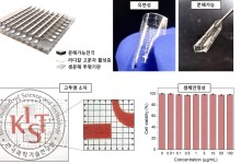 KIST 연구진, 고성능인데 물에도 녹는 메모리 소자 개발