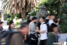 제주 렌터카 사고 18.8% 여름 휴가철 집중…7~8월에 매달 72명 다쳐