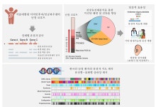 서울대병원, 난청 유전자 지도 구축…"진단율 20% ↑"