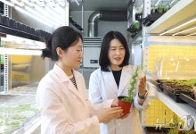 폭염에도 살아남는 식물 비밀 찾았다…"기후적응 품종 개발 기여"