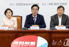野 '이춘석 게이트 특검' 제안…"국회의원·대통령실 전수조사"(종합)