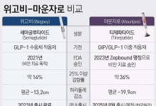 위고비? 마운자로? 다가온 선택의 시간…내게 맞는 비만약은