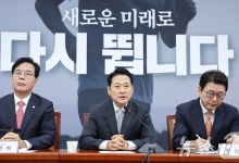 국힘, 지선 총괄기획단 위원장 나경원 임명…"승리 준비 박차"