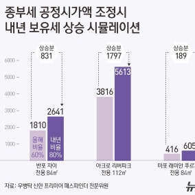 공정가액비율 80%로 올리면…아리팍 보유세 1797만원 더 낸다