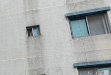 인천 흉기 난동범, 전세사기 피해 후 분노 표출