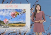 한낮 25도 안팎, 해 지면 쌀쌀…큰 일교차 유의[날씨]