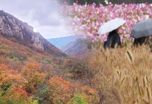 올가을 들어 가장 쌀쌀…강원 산지 첫 한파특보[일요와이드]