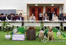 "동물 학대자는 사육 금지"…유기 땐 벌금 최대 500만원