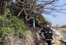 산불에 천연기념물 상록수림도 일부 소실…국가유산 피해 5건
