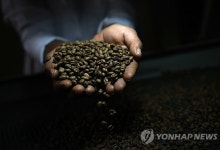 브라질 "미국에 관세 부과 유예 요구않을 것"…맞대응 '전운'