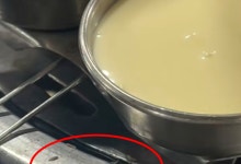 불판 사이 구더기가 드글드글…해외 삼겹살 가게 위생 논란