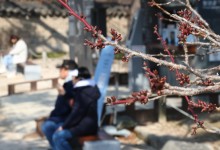 낮 기온 올라 일교차 10도 이상…충남·광주·전북 미세먼지 '나쁨'