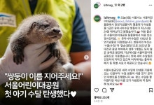 "아기 수달에게 예쁜 이름 지어 주세요"…서울어린이대공원 이벤트