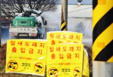 사람도 감염시킨 고병원성 AI 바이러스 국내서 첫 검출 '비상'