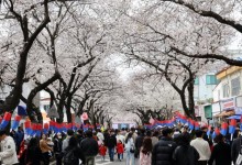 순대 6개에 2만5000원 '그 축제', 이번엔 식중독까지… 80명 신고