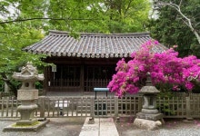 비운의 조선 왕실 사당 '관월당', 100년 만에 일본서 돌아왔다