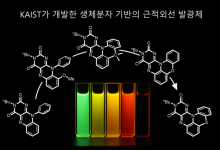 근적외선 뿜는 '생체분자 플라빈' 최초 구현…몸 깊숙한 곳 진단