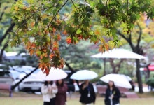 초강력 태풍 '참피' 진로 변경, 주말 남부·제주 강풍·높은 파도 우려
