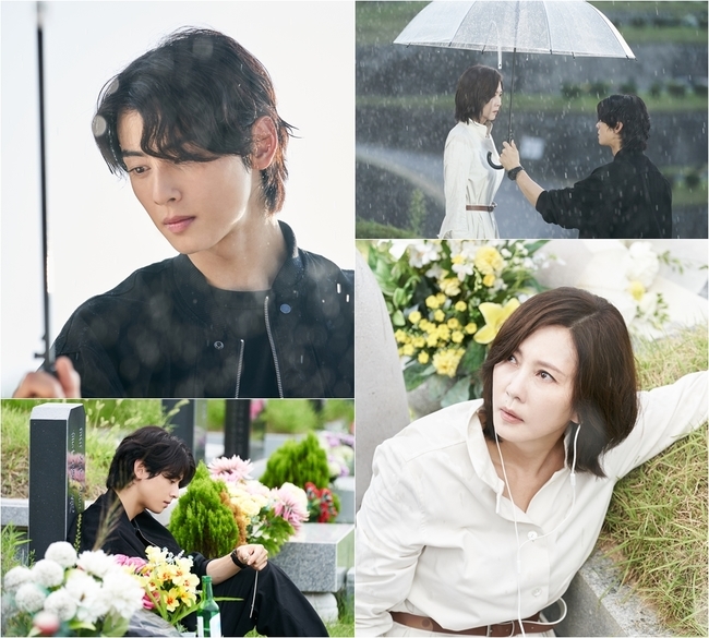 ‘<b>원더풀</b> 월드’ <b>차은우</b> 본격 등판, <b>김남주와</b> 무덤 앞 첫 만남