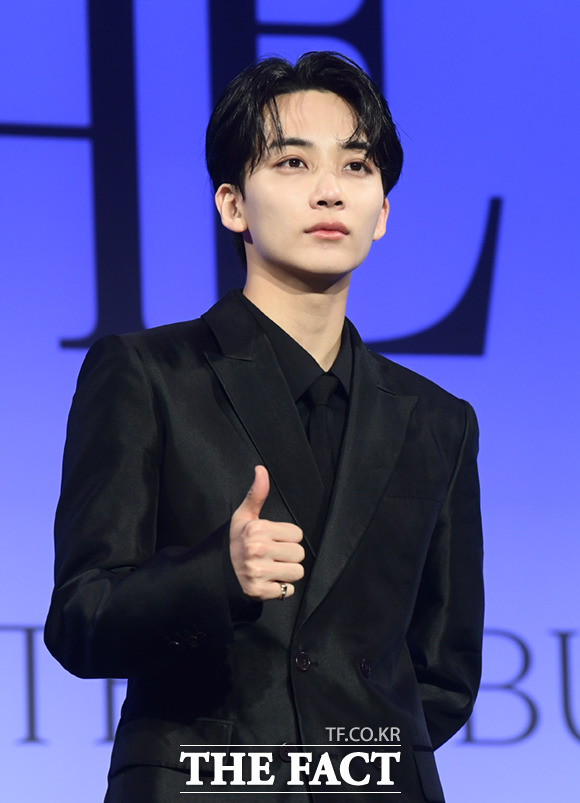 <b>세븐틴 정한</b>, <b>발목</b> 수술…"당분간 활동 어려워"
