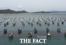 전남도, 김 수출 사상 최초 3억 달러 돌파