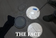 농촌 펜션에서 마약·환각 파티…외국인 6명 구속 송치