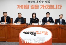 개혁신당 허은아 대표직 상실…"당원소환 투표 유효"