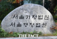 업무 중 뇌혈관 막힌 전 국회의원…법원 "치료비 청구 불가"